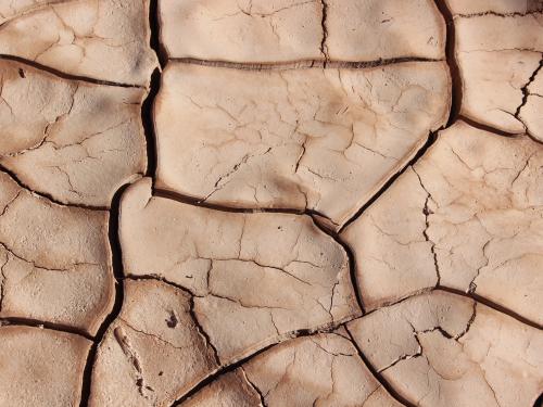 Horizontal close up of dry cracked earth.