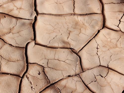 Horizontal close up of dry cracked earth. 