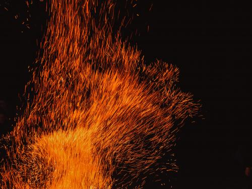 Horizontal photo of a swam of fire embers. 