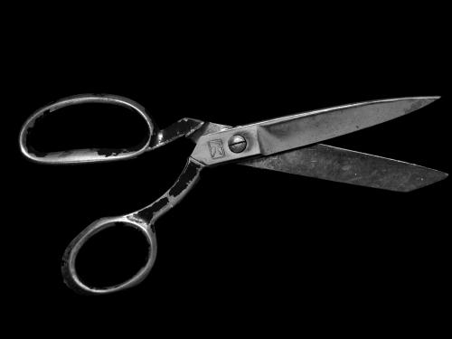 Horizontal photo in black and white of metal scissors. 