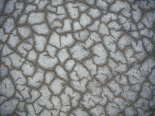 Horizontal photo of cracked mud. 