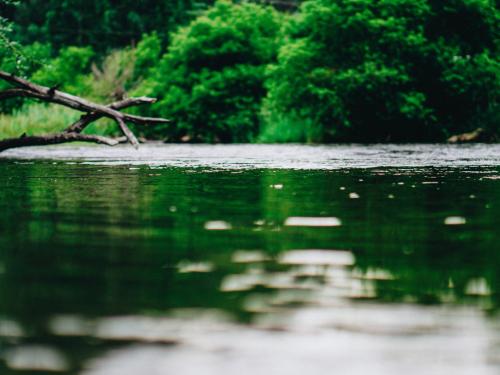 Photo of river at surface level with green trees in the background.