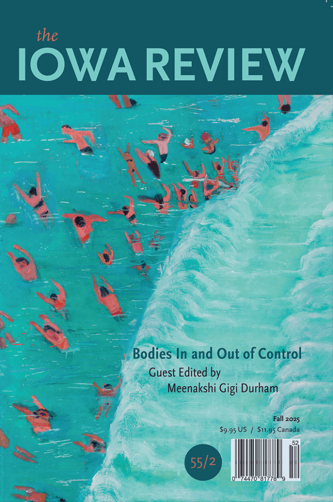 cover in dark and light teal. a painting of people on a beach, as though shot from above.